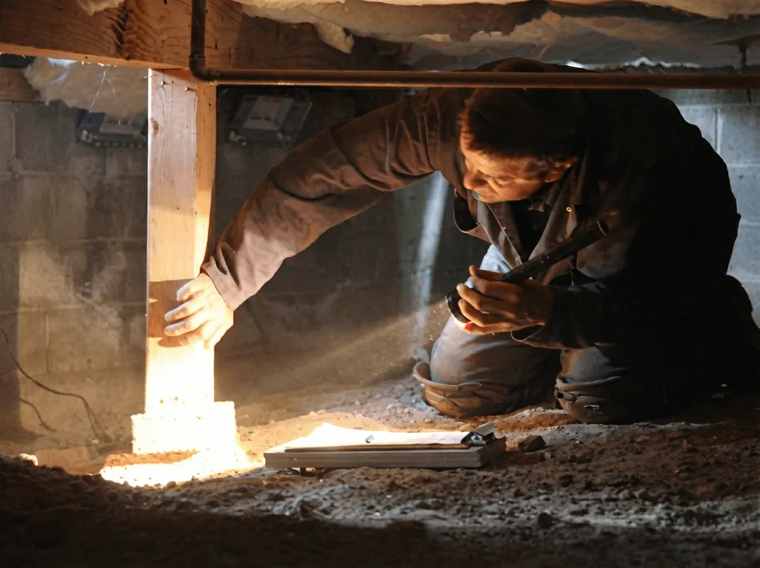 A professional inspecting wooden beams under the floor of a structure in Memphis, TN